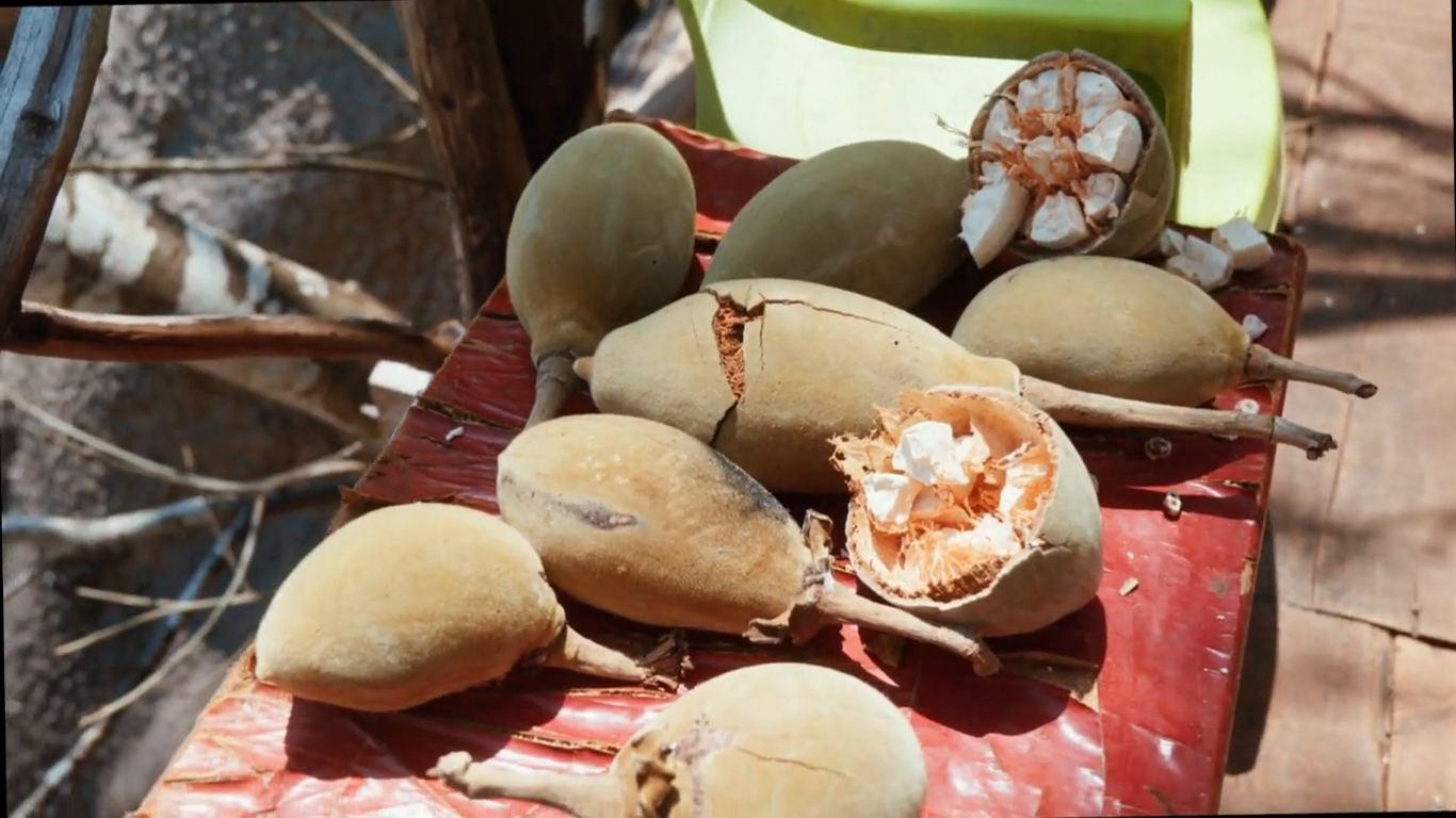 Baobab fruit opened on a market table in Zanzibar
