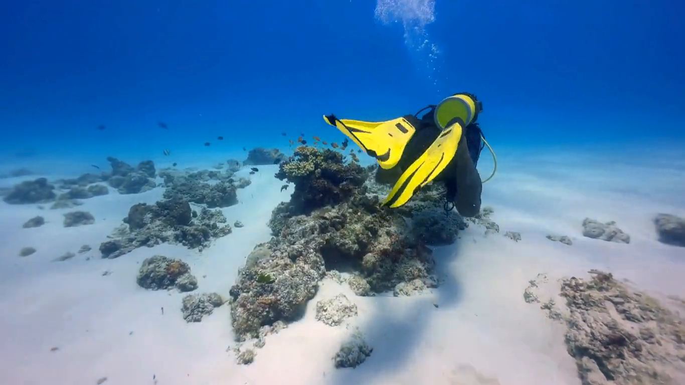 A diver gliding above a coral reef in the Indian Ocean off Zanzibar