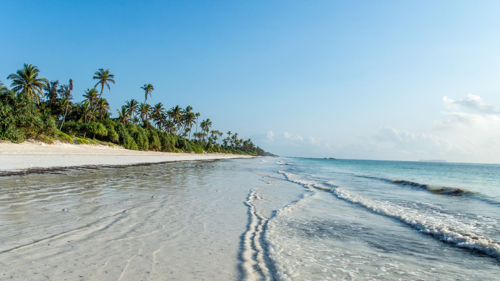 An empty stretch of white sand beach fringed with palm trees in Zanzibar